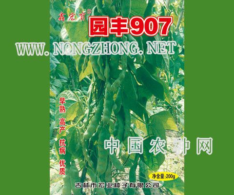 园丰907